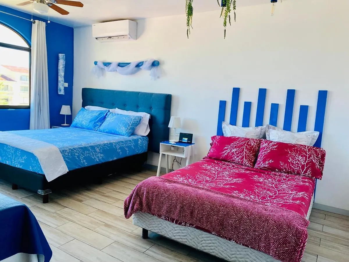 Tropical Apartment 칸쿤